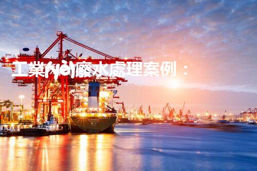 工業(yè)廢水處理案例：揭秘高效凈化背后的技術奇觀！